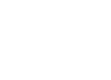 FLOW FIELDS